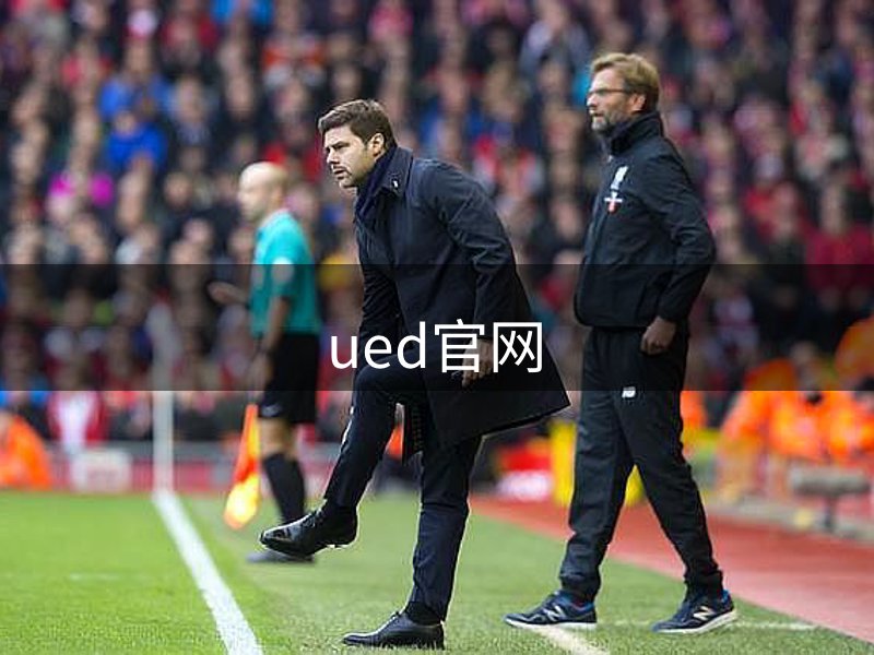 网站概况